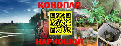 крисы Комсомольск-на-Амуре