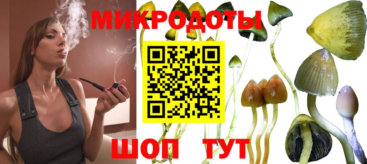 Псилоцибиновые грибы прущие грибы Комсомольск-на-Амуре